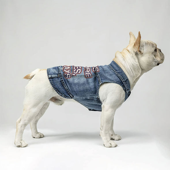 Dogs Before Dudes Dog Denim Vest - Dog Theme Dog Denim Jacket - Funny Dog Clothing