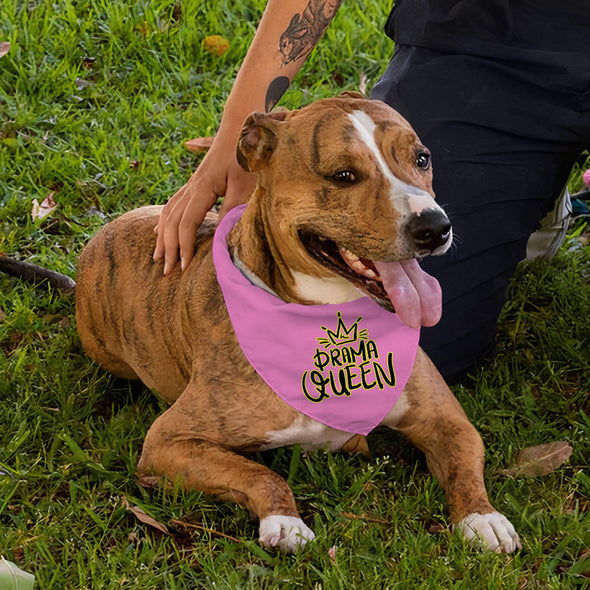 Drama Queen Pet Bandana - Funny Dog Bandana - Themed Pet Scarf