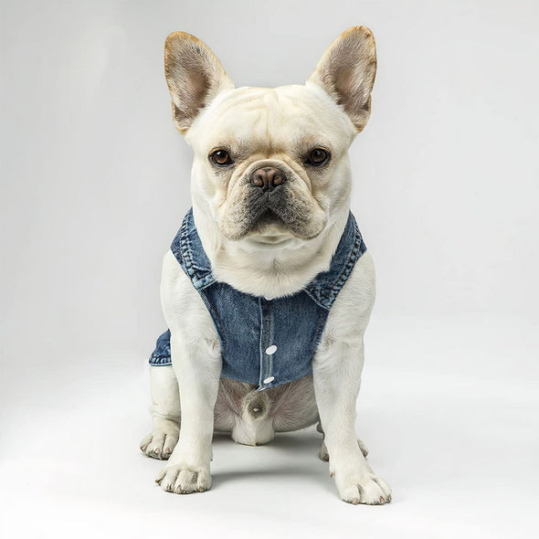 Super Dog Denim Vest - Colorful Dog Denim Jacket - Graphic Dog Clothing