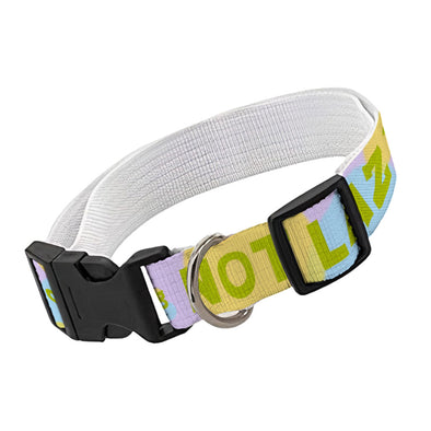 I Am Not Lazy Pet Collar - Quote Dog Collar - Themed Dog Collar