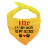 Friend Pet Bandana - Colorful Dog Bandana - Printed Pet Scarf