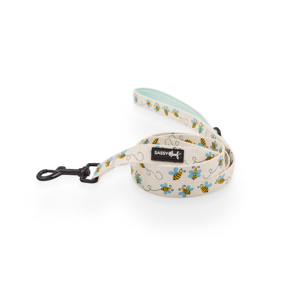 Bee Sassy' Dog Fabric Leash