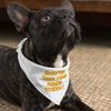 Sarcastic Pet Bandana - Funny Dog Bandana - Best Design Pet Scarf