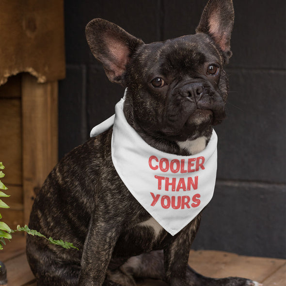 Cool Design Pet Bandana - Sarcastic Dog Bandana - Quote Pet Scarf