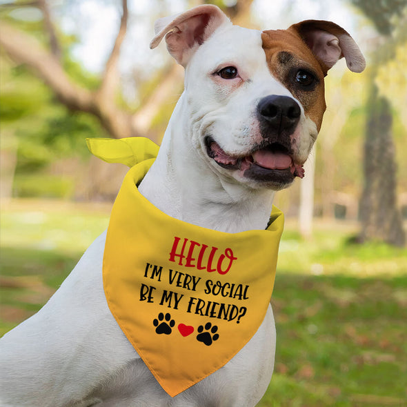 Friend Pet Bandana - Colorful Dog Bandana - Printed Pet Scarf