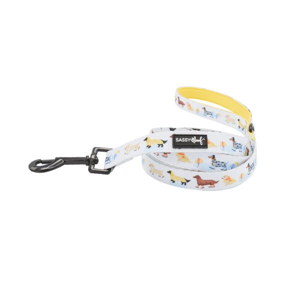 Rainy Dachshund' Dog Fabric Leash