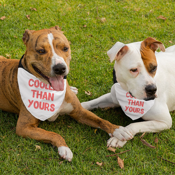 Cool Design Pet Bandana Collar - Sarcastic Scarf Collar - Quote Dog Bandana