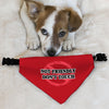 Not Friendly Don't Touch Pet Bandana Collar - Quote Scarf Collar - Graphic Dog Bandana