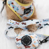 Rainy Dachshund' Dog Fabric Leash