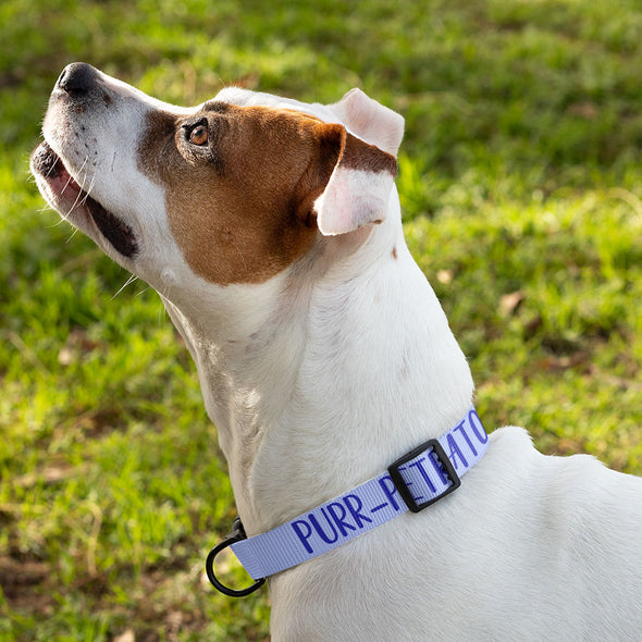 Cute Funny Pet Collar - Creative Dog Collar - Cool Design Dog Collar