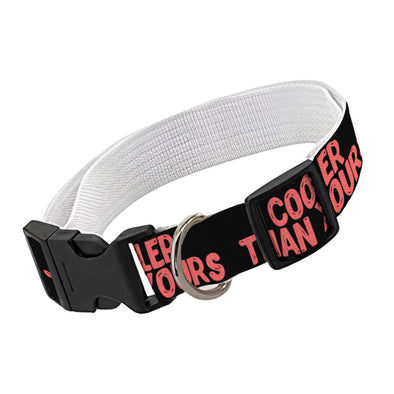 Cool Design Pet Collar - Sarcastic Dog Collar - Quote Dog Collar