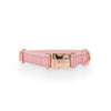 Dolce Rose' Dog Collar