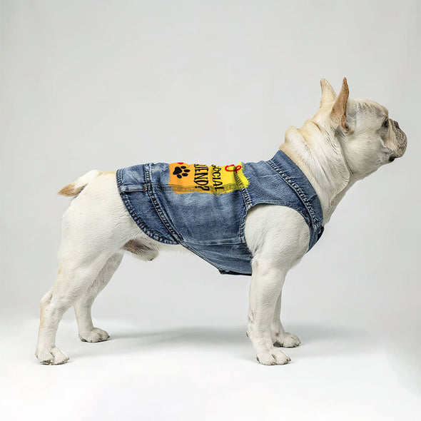 Friend Dog Denim Vest - Colorful Dog Denim Jacket - Printed Dog Clothing