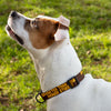 Sarcastic Pet Collar - Funny Dog Collar - Best Design Dog Collar