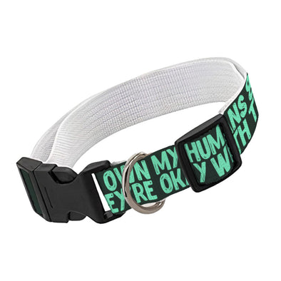 Funny Pet Collar - Printed Dog Collar - Cool Dog Collar