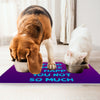 Funny Design Pet Food Mat - Sarcastic Anti-Slip Pet Bowl Mat - Cool Saying Pet Feeding Mat