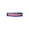 4th of July Star & Stripes Dog Collar