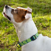 I'm Just Here for the Food Pet Collar - Funny Design Dog Collar - Best Print Dog Collar