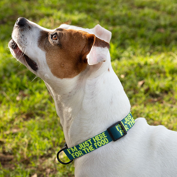 I'm Just Here for the Food Pet Collar - Funny Design Dog Collar - Best Print Dog Collar