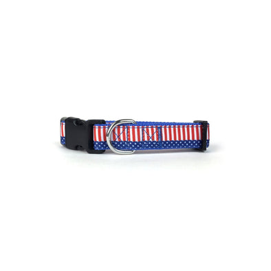 4th of July Star & Stripes Dog Collar