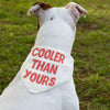 Cool Design Pet Bandana Collar - Sarcastic Scarf Collar - Quote Dog Bandana