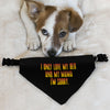 I Only Love My Bed and My Mama Pet Bandana Collar - Art Scarf Collar - Funny Dog Bandana