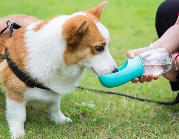 Portable Pet Water Bottle