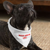 Woof Pet Bandana - Funny Dog Bandana - Cool Pet Scarf